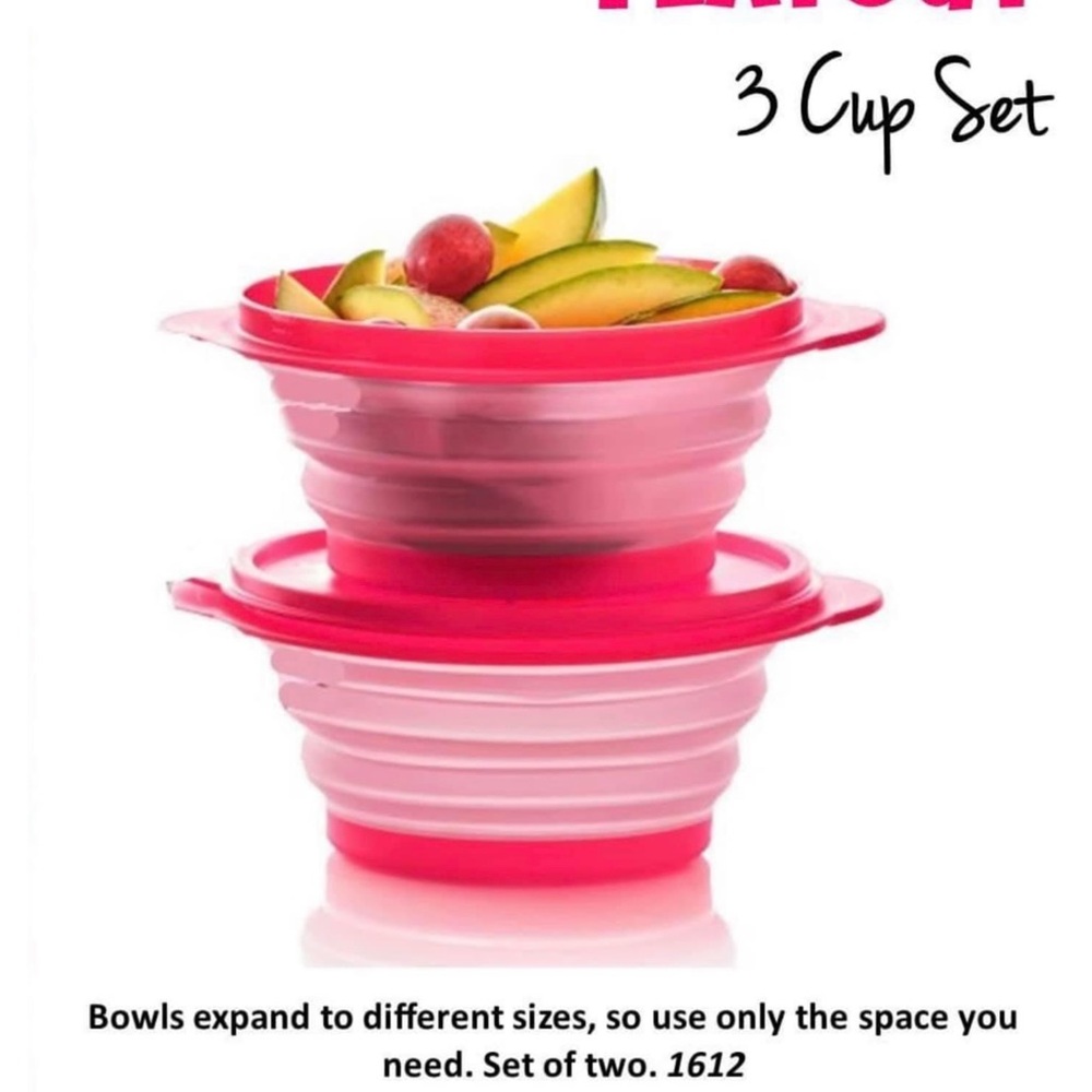 Tupperware flat bowls